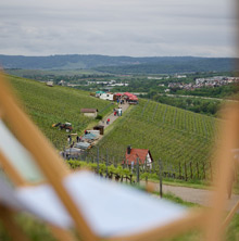 Querfeldwein