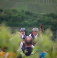Querfeldwein