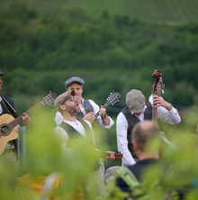 Querfeldwein