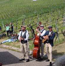 Querfeldwein