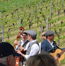 Querfeldwein