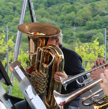 Querfeldwein