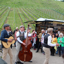 Querfeldwein