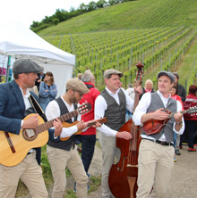 Querfeldwein
