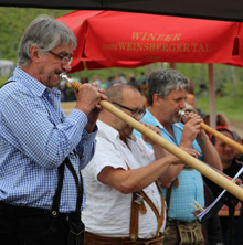 Querfeldwein