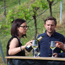 Querfeldwein