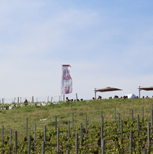 Querfeldwein