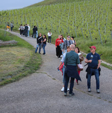 Querfeldwein