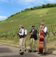 Querfeldwein