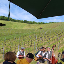 Querfeldwein