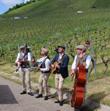 Querfeldwein