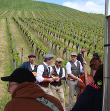 Querfeldwein