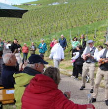 Querfeldwein